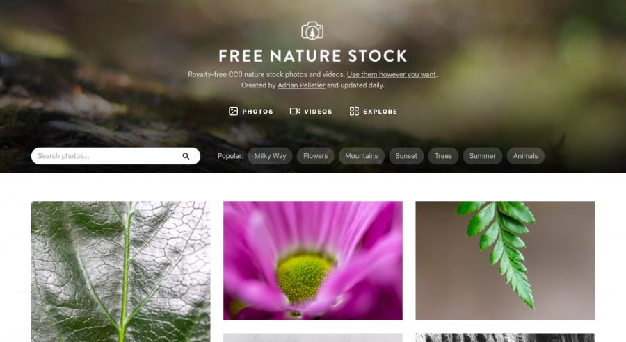 Free Nature Stock : Images gratuites et libres de droit