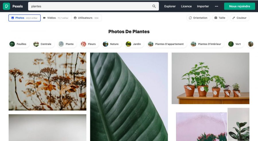 Pexels : Images gratuites et libres de droite