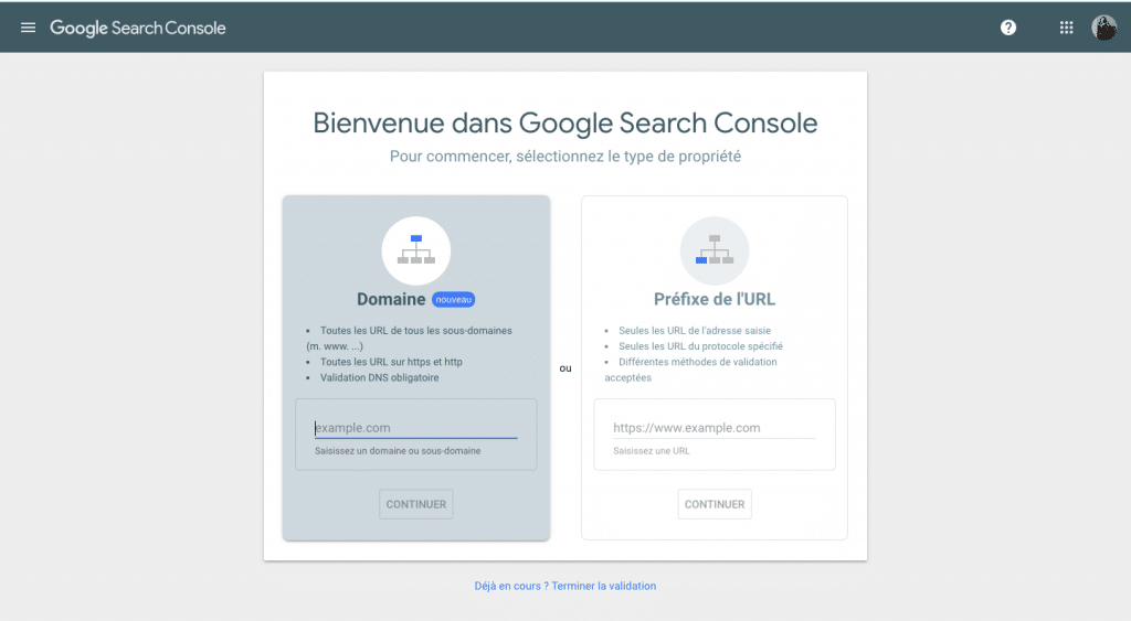 Page accueil Google Search Console