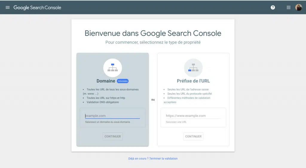 Page accueil Google Search Console