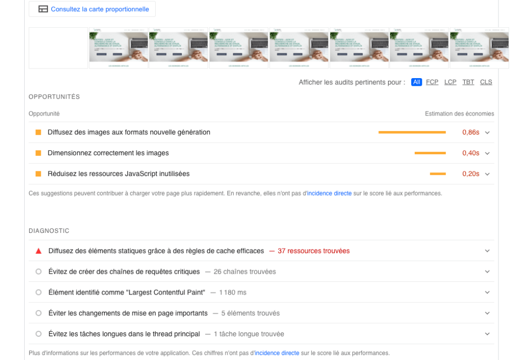 Google PageSpeed Insight - Améliorations performance site motips.fr
